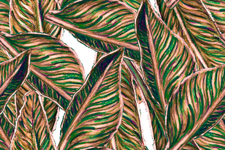 Bird of Paradise Seamless Pattern for Swimwear. Red and Purple Tropical Leaf Background. Large Polynesia Floral Print. Bird-of-Paradise Spring-Summer Tile Strelitzia Feminine Exotic Design.の写真素材