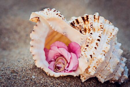 Wedding rings in seashoreの写真素材