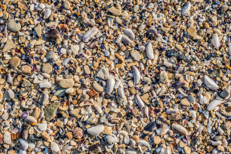Sand Texture Background. Top View of a Beach or Desert Ground Surface. Close Up Macro. Text space