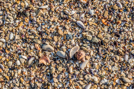 Sand Texture Background. Top View of a Beach or Desert Ground Surface. Close Up Macro. Text spaceの写真素材
