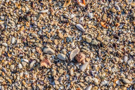 Sand Texture Background. Top View of a Beach or Desert Ground Surface. Close Up Macro. Text spaceの写真素材