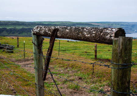 Old wood tree branch gate on a farm with green grass and horizonの写真素材
