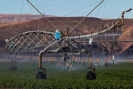 Crop irrigation field spray sprinkler watering system over a green crop with brown hills in the backgroundの写真素材