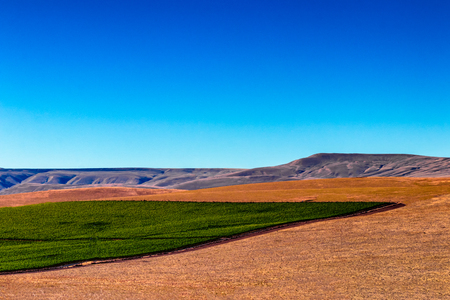 Eastern Washington Palouse vast expanse desert crop field and rolling hillsの写真素材