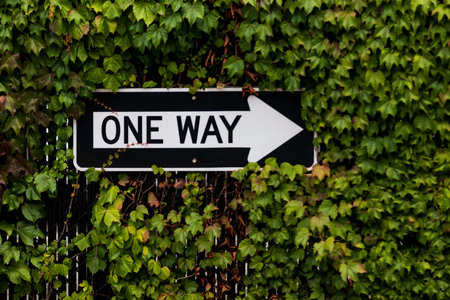 One way sign surrounded by a green ivy bush on a fence