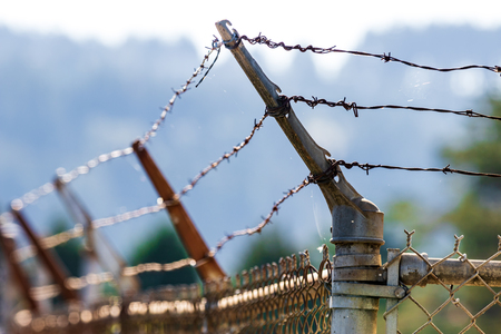Barbed wire fence shining in the sun with trees in the backgroundの写真素材