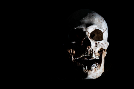 Human skeleton skull head isolated on blackの写真素材