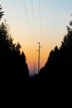 Dark cloudy sunrise with tree silhouette and power linesの写真素材