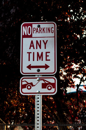 No parking any time tow away zone sign on a post with trees