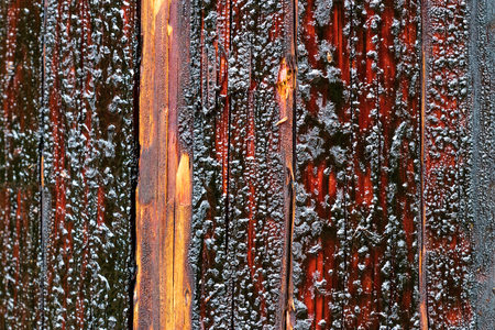 Creosote soaked power transmission pole with bubblesの写真素材