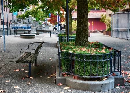Urban inner city park with bench and leavesの写真素材