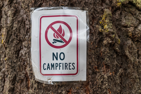 Paper no campfires sign stapled to a treeの写真素材