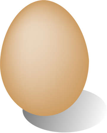 EGG, isolated on white background with a shadowのイラスト素材