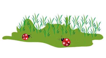 Cute little lady bugs on green grass illustrationのイラスト素材