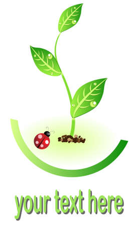 eco illustration icon with plant and lady bug for environmental concept のイラスト素材