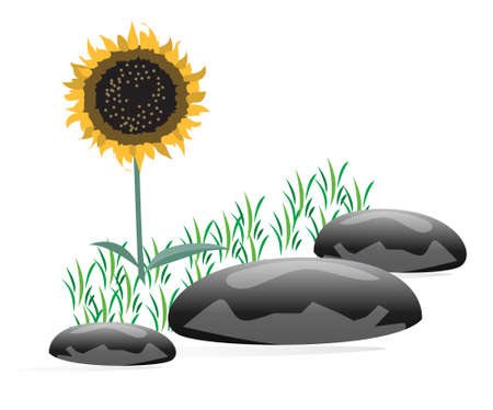 background with plants, stones and flower in green yellow colorsのイラスト素材