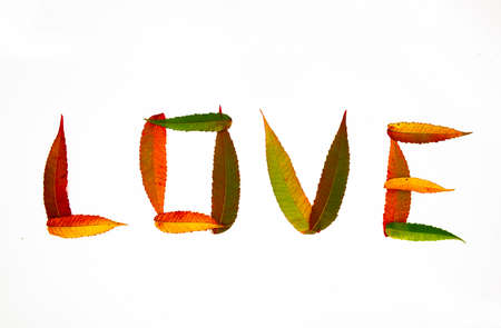 inscription love leaves autumn color abstract full coloredの写真素材