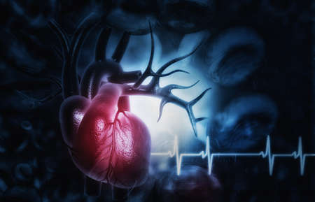 3d illustration of Abstract medical background with Human heart anatomyの写真素材