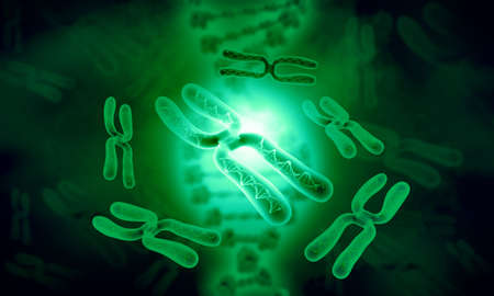 Chromosome on sicience background. 3d illustrationの写真素材