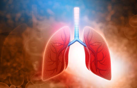 Human lungs with medical background. 3d illustrationの写真素材