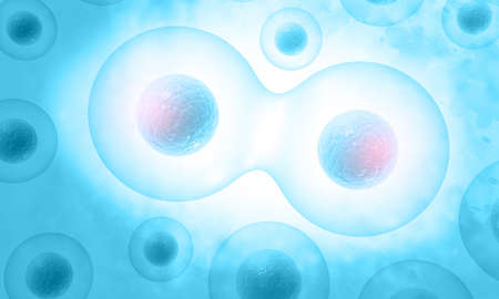 Human cells division. 3d illustration 	の写真素材