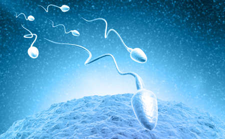 Sperm and egg cell on Scientific background. 3d illustrationの写真素材