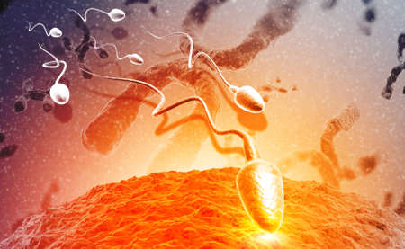 Sperm and egg cell on Scientific background. 3d illustrationの写真素材