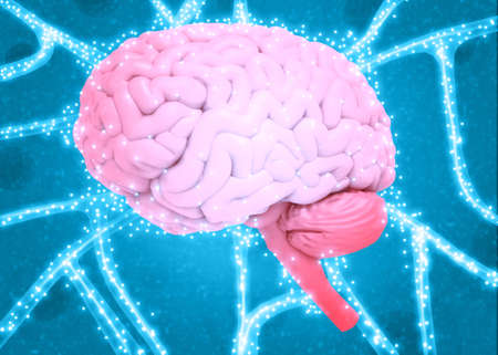Human brain electrical signal. 3d illustrationの写真素材