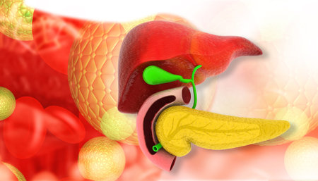 Human Liver. science background. 3d illustration
