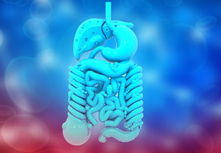 Human internal Organs on blue background. 3d illustration