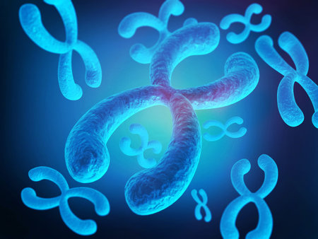 chromosomes , X chromosomes,  Genetics concept. 3d render