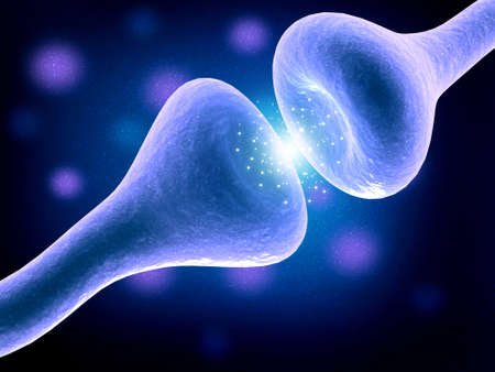 Neural network in the brain. nervous system , Neurons. 3d renderの写真素材