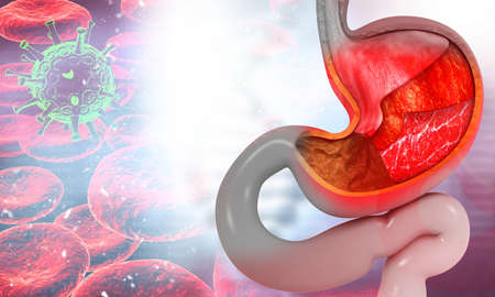 Human Stomach Anatomy on science background. 3d illustrationの写真素材