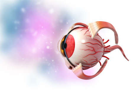 3d human eye anatomy medical background. 3d illustration の写真素材