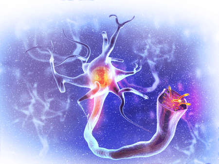Neural network in the brain. nervous system , Neurons. 3d renderの写真素材
