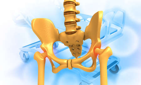 Human pelvis skeleton on medical background. 3d illustrationの写真素材