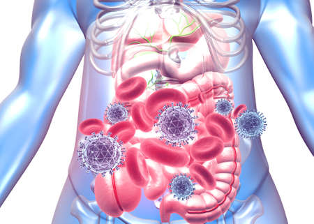 Human body with virus attack. 3d illustrationの写真素材