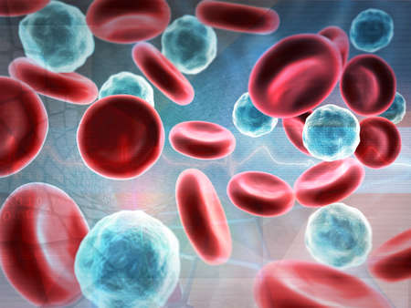 Red and white blood cells. 3d illustrationの写真素材