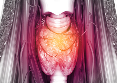 Human thyroid anatomy. 3d illustration