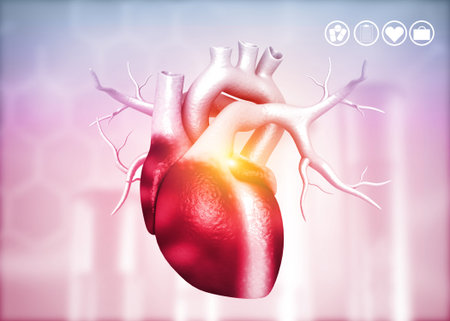 Anatomy of Human Heart on medical background. 3d render