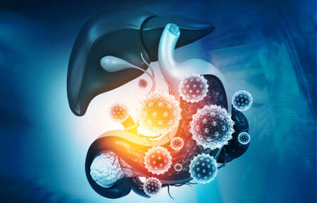 Virus attacks human digestive system. 3d illustration		の写真素材