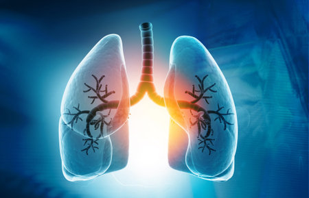 Human lungs anatomy on blue background. 3d illustration	