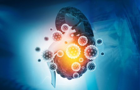 Kidney disease concept. 3d illustration	