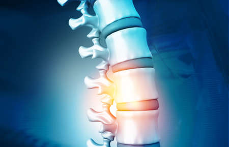 Human spine, vertebrae anatomy on science background. 3d illustrationの写真素材