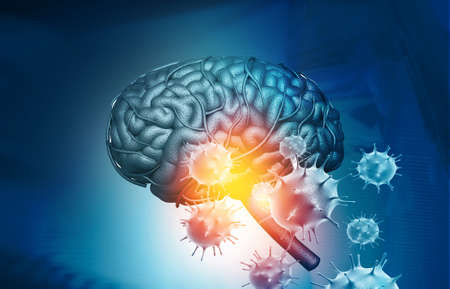 Virus attacking a human brain. 3d illustrationの写真素材