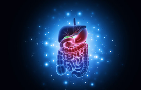 Human digestive system science background. 3d illustration