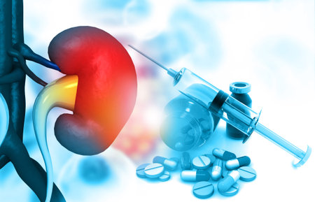 Anatomy of kidney with pharmaceutical medicine. glass bottle, pills and a syringe. 3d illustration