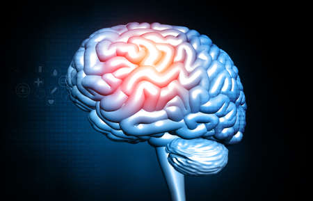 Human brain injury, damage,hemorrhag.3d illustrationの写真素材
