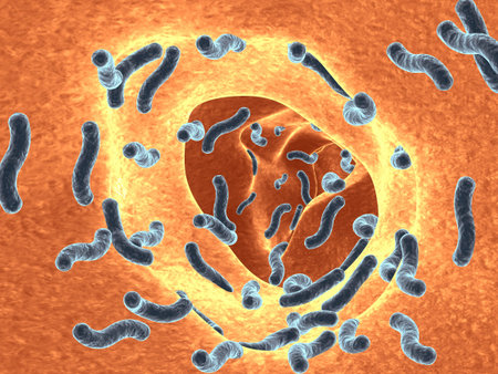 Bacteria infection disease. 3d illustration