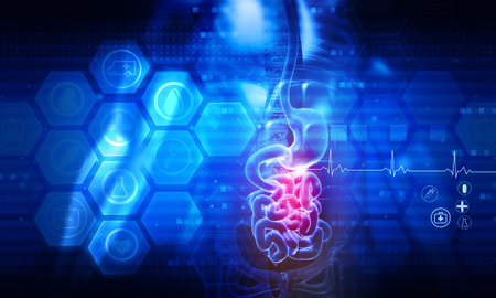 Human digestive system anatomy on abstract scientific backgroundの写真素材